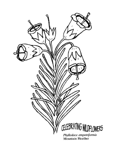 Heather Coloring Page