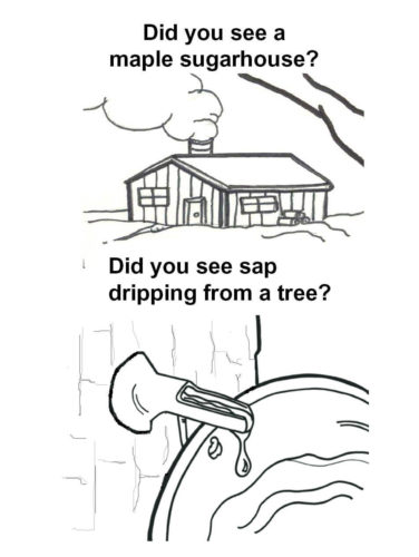 Maple syrup Coloring Page