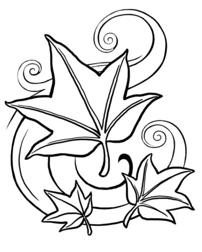 Maple leaf Coloring Page