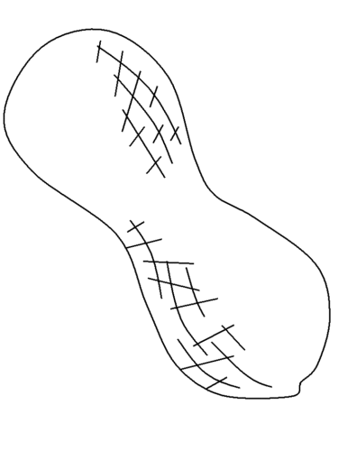 Peanut Coloring Page