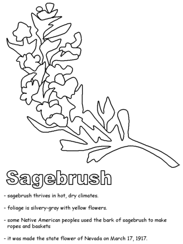 Sage Coloring Page