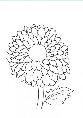 20 Dahlia flowers coloring pages