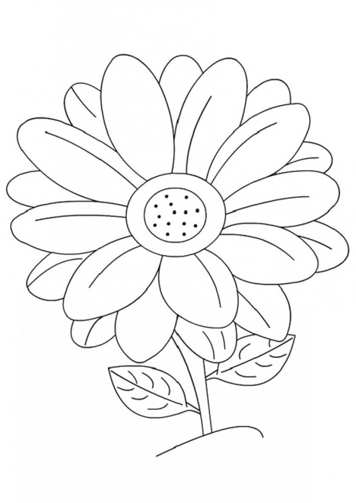 Flowers Coloring Pages Free Printable Pdf