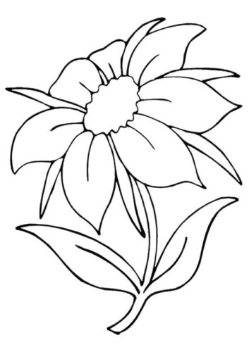 28 Jasmine flowers coloring pages