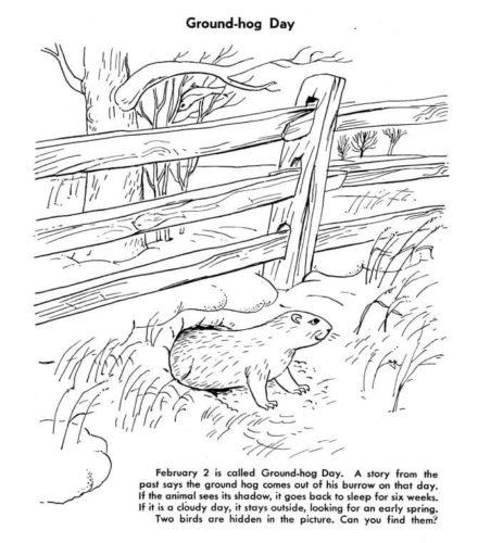 Free Printable Groundhog coloring pages