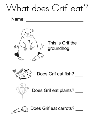 Groundhog Activity Sheet printable