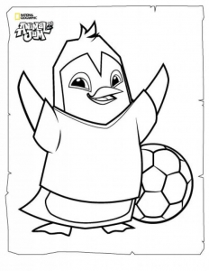 Animal Jam Coloring Pages Penguin