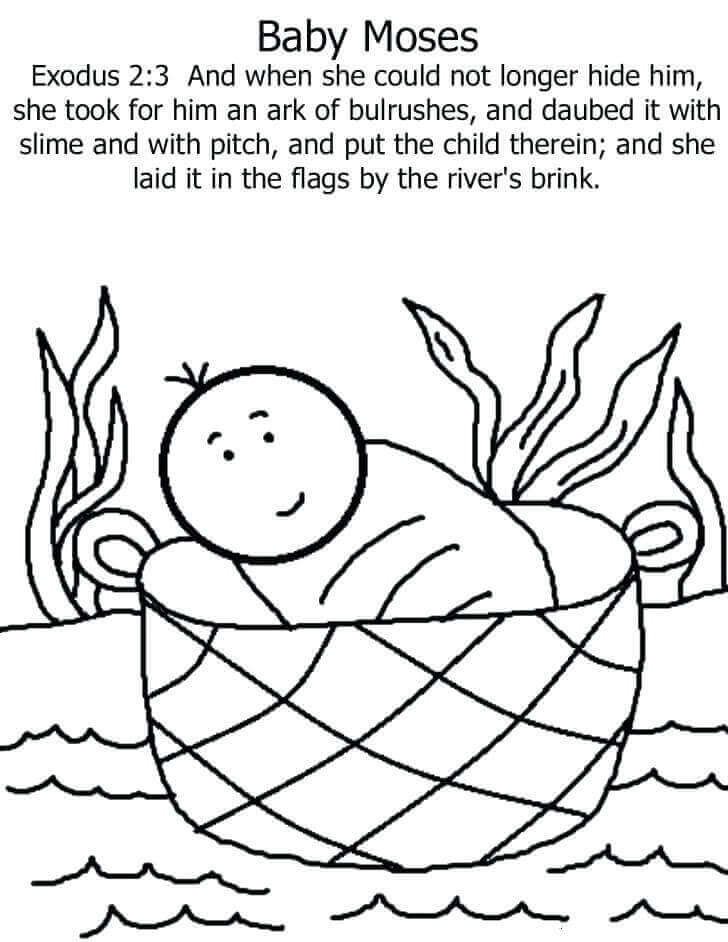 108 Animal Pesach Coloring Pages 