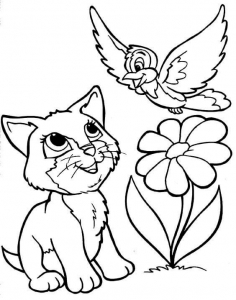 Cat And Bird Coloring Images