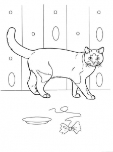 Curious Cat Coloring Pages