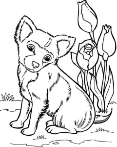 Cute Doggy Coloring Sheet