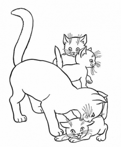 Free Cat Coloring Pages Printable