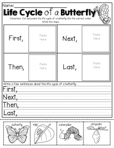 Life Cycle Of A Butterfly Printable