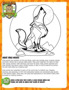 Printable Animal Jam Coloring Pages
