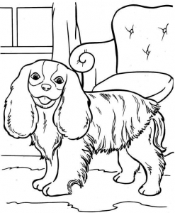 Printable Dog Coloring Pages