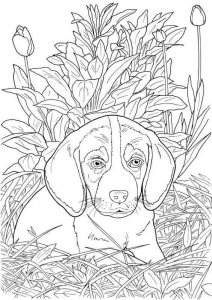 Realistic Dog Coloring Page