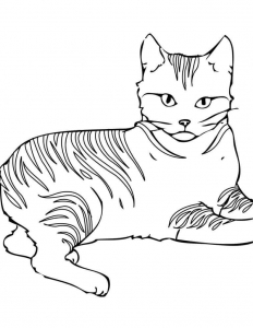 Warrior Cat Coloring Sheets