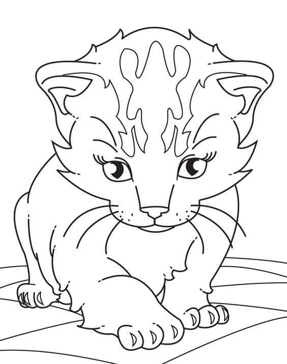 Download 30 Free Printable Kitten Coloring Pages (Kitty Coloring ...