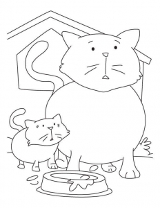 Cat And Kitten Coloring Sheets