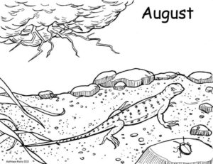 World Lizard Day August Coloring Pages