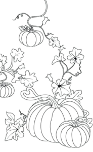 Pumpkin Plant Coloring Page