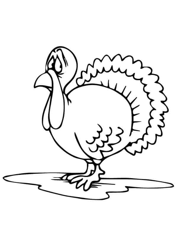 Download 30 Free Turkey Coloring Pages Printable
