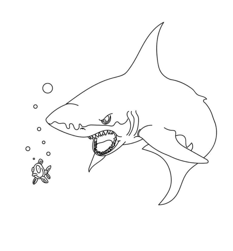 33 Free Shark Coloring Pages Printable