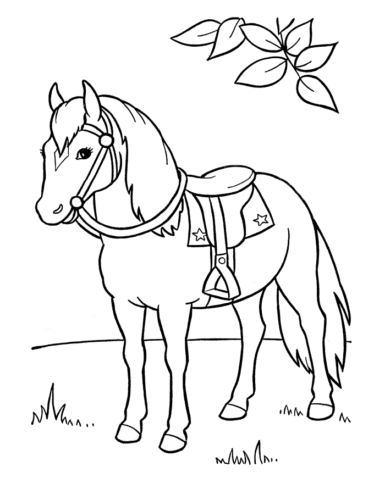Cartoon Horse Coloring Page