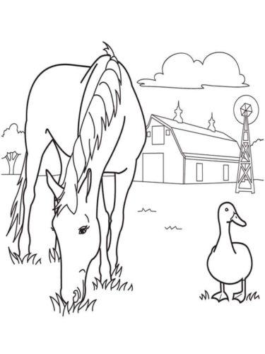 Horse At Farm Coloring Page