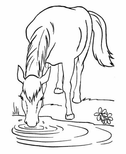 Horse Drinking Water Coloring Page