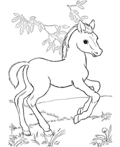 Pony Coloring Pages Printable