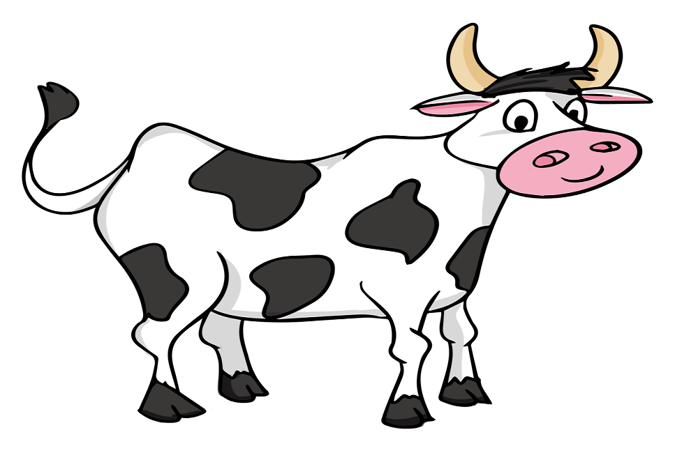 heifer coloring pages
