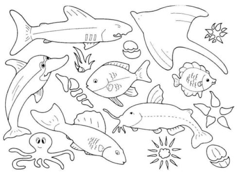 35 free fish coloring pages printable