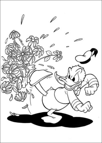 donald daisy duck coloring pages