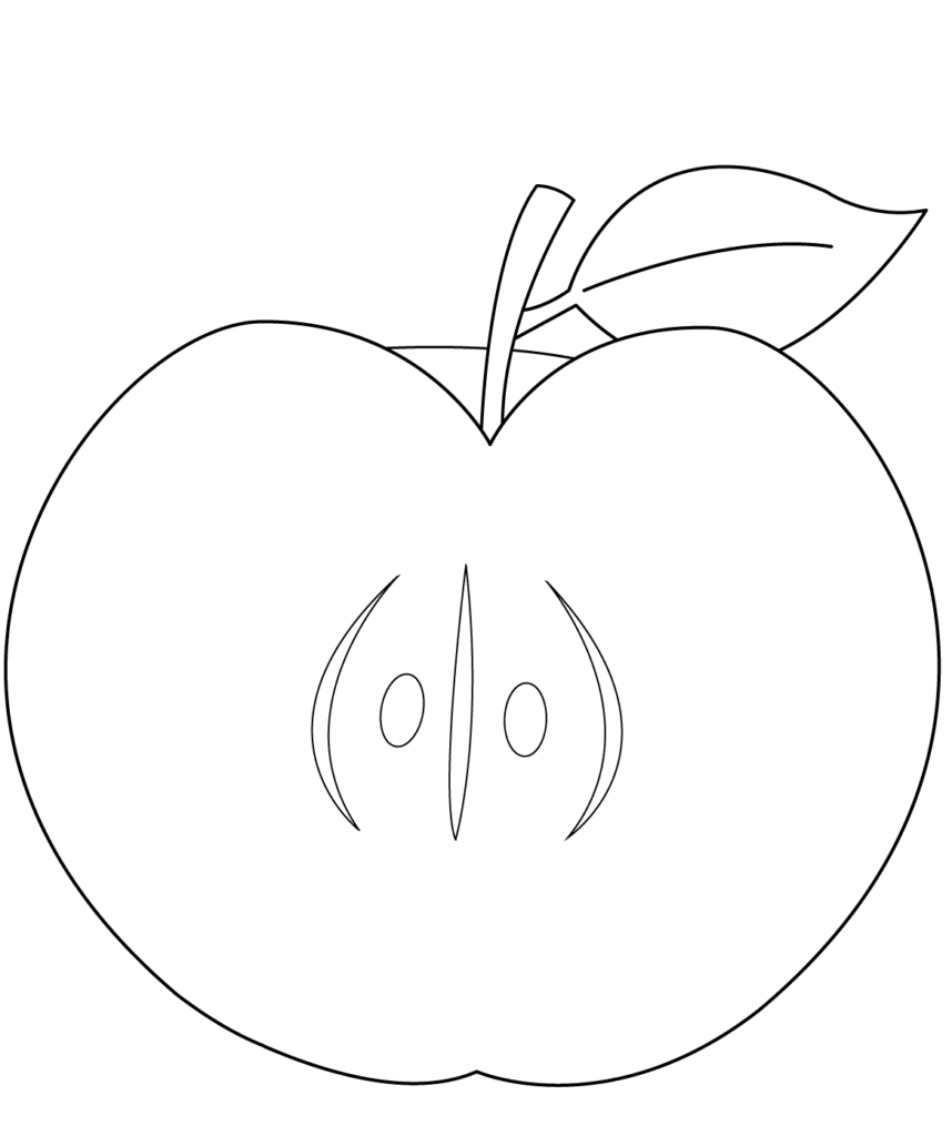 Яблоко в разрезе трафарет