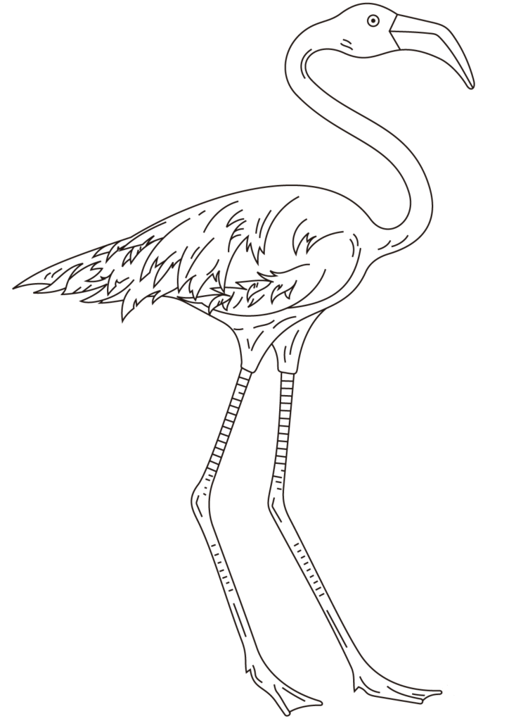 30 Free Flamingo Coloring Pages Printable