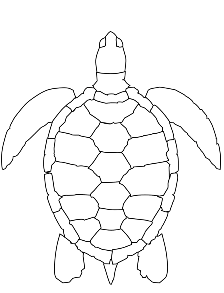 35 Free Turtle Coloring Pages Printable